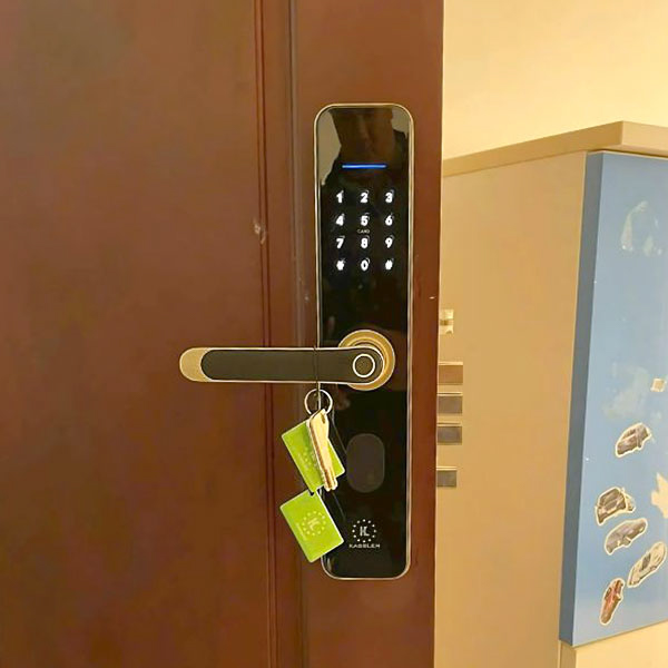 KHOÁ VÂN TAY KASSLER KL 696 GREEN BRONZE APP REMOTE - 15
