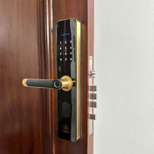 KHOÁ CỬA VÂN TAY KASSLER KL 696 GOLD APP REMOTE - 3
