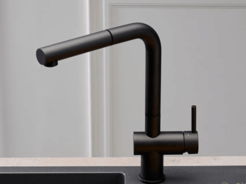 VÒI RỬA BÁT REGINOX CEDAR MẠ ĐEN HMH.R31643 - 13