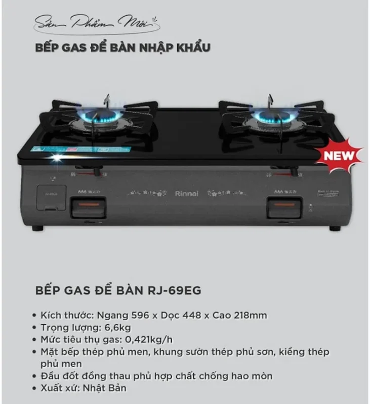 BẾP GA ĐỂ BÀN RINNAI RJ-69EG - Bep gas duong rinnai rj 69eg 4