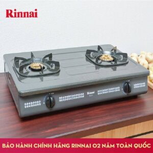 BẾP GA ĐỂ BÀN RINNAI RV-367(G)N - bep gas 6 tac rinnai rv 367gn chen dong co dau ham 0 1580796468