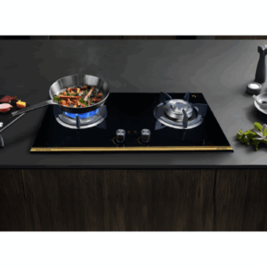 BẾP GA GRANDX GX-GS299D - bep gas am grandx gx gs299d3