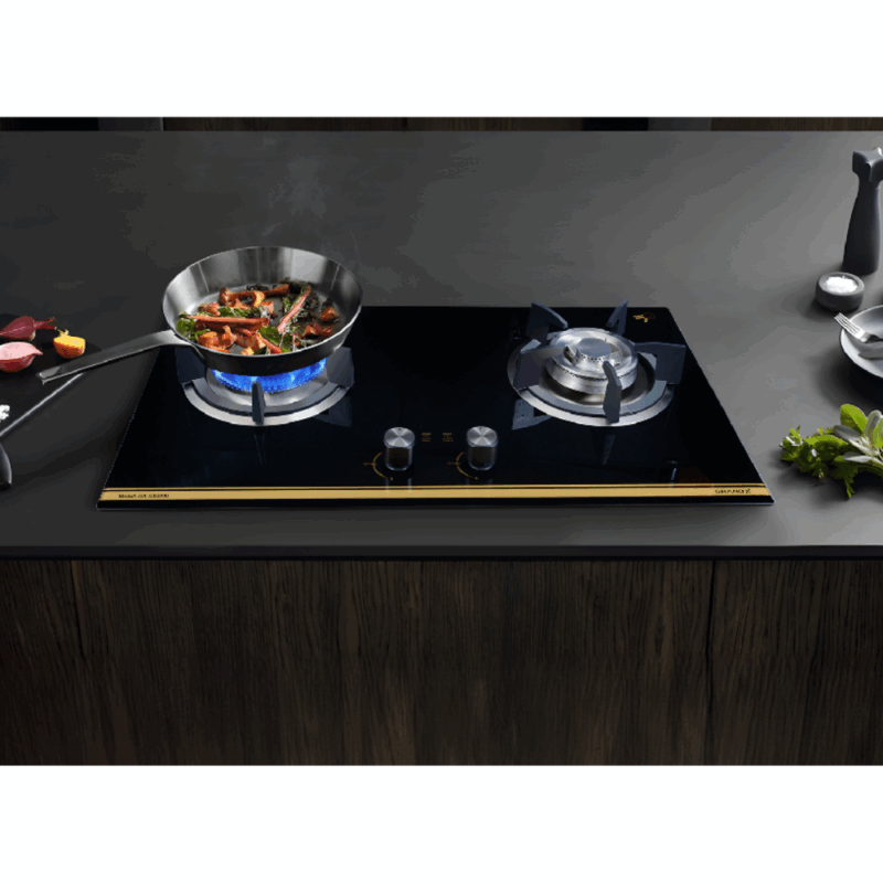 BẾP GA GRANDX GX-GS299D - bep gas am grandx gx gs299d3