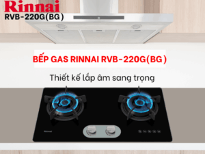 BẾP GA ÂM RINNAI RVB-220(BG) - bep gas am rinnai rvb 220gbg 9