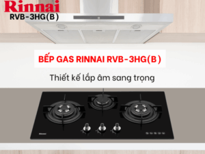 BẾP GA ÂM RINNAI RVB-3HG(B) - bep gas am rinnai rvb 3hgb 1
