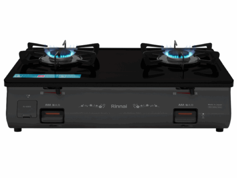 BẾP GA ĐỂ BÀN RINNAI RJ-69EG