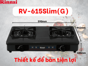 BẾP GA ĐỂ BÀN RINNAI RV-615SLIM(G) - bep gas rinnai rv 615slim g 3