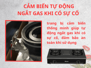 BẾP GA ĐỂ BÀN RINNAI RV-A271B(EB) - bep gas rinnai rv a271beb 3