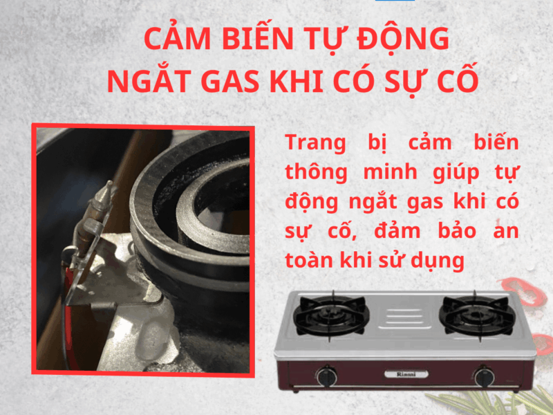 BẾP GA ĐỂ BÀN RINNAI RV-A271R(S) - bep gas rinnai rv a271rs 3