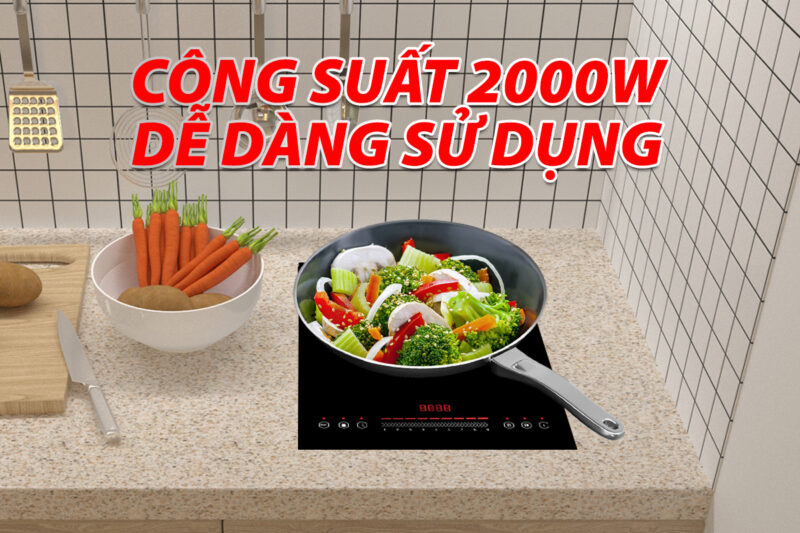 BẾP TỪ ĐƠN LORCA TA-1018 PLUS - 1018plus 3