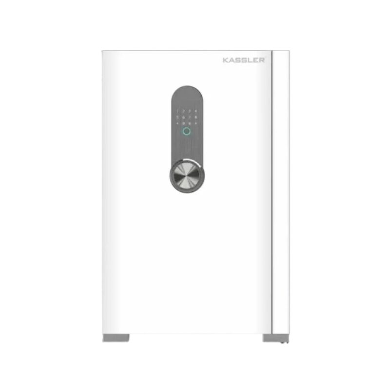 KÉT THÔNG MINH KASSLER KL-55H8 MÀU TRẮNG NGỌC TRAI - KASSLER KL 65H8 Pearl 1