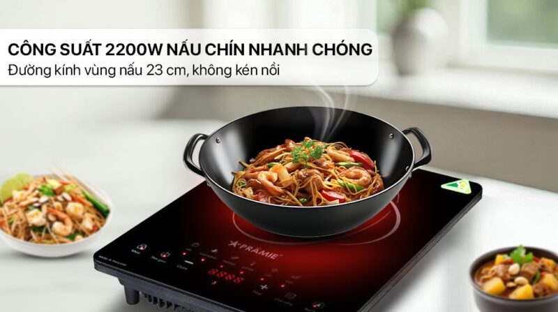 HÌNH ẢNH THỰC TẾ CỦA BẾP HỒNG NGOẠI ĐƠN PRAMIE PRTH-1000