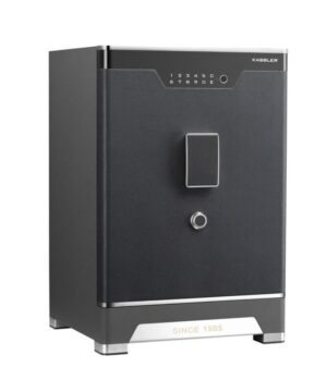 KÉT SẮT THÔNG MINH KASSLER KL-65LS6