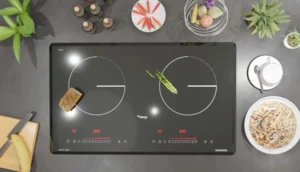 BẾP TỪ CANZY CZ TL869D - cz tl869d 1