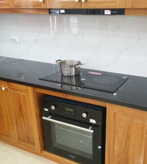 LÒ NƯỚNG ÂM TỦ CANZY CZ 09DL - lo nuong am tu canzy cz 09dl 1