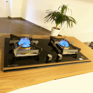 BẾP GA ÂM 2 LÒ EUROSUN EU-GA291E - Bep ga am Eurosun GA291D 4 1